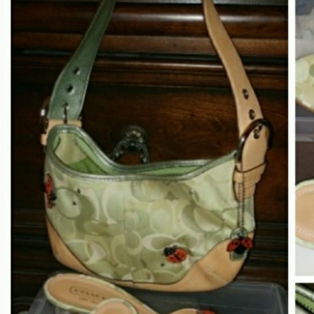 Coach lady Bug Purse